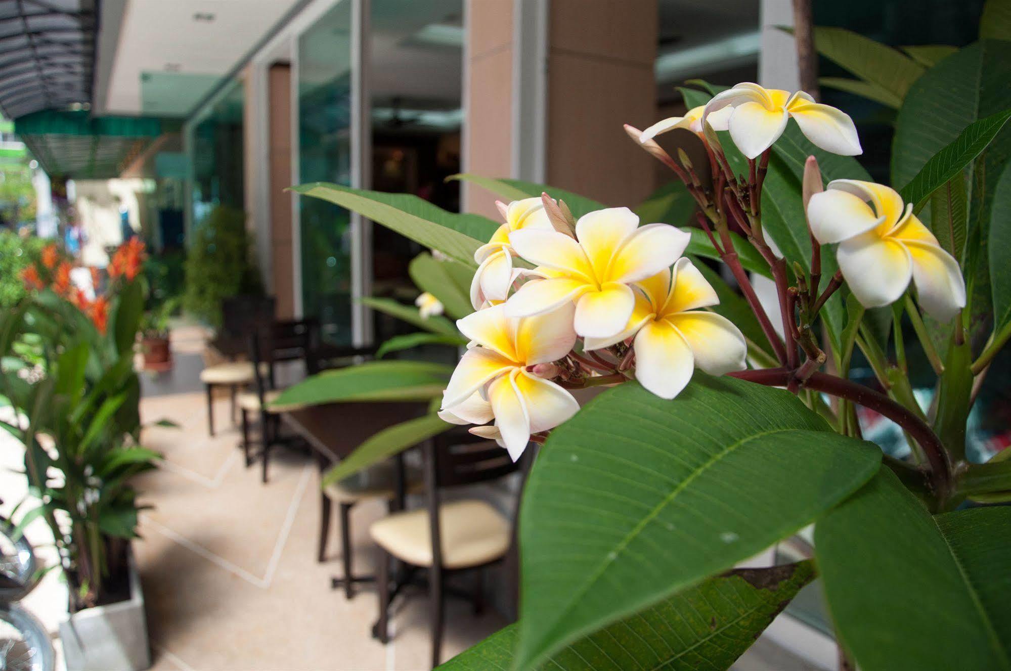 Готель Patong Mansion - Sha Certified Екстер'єр фото